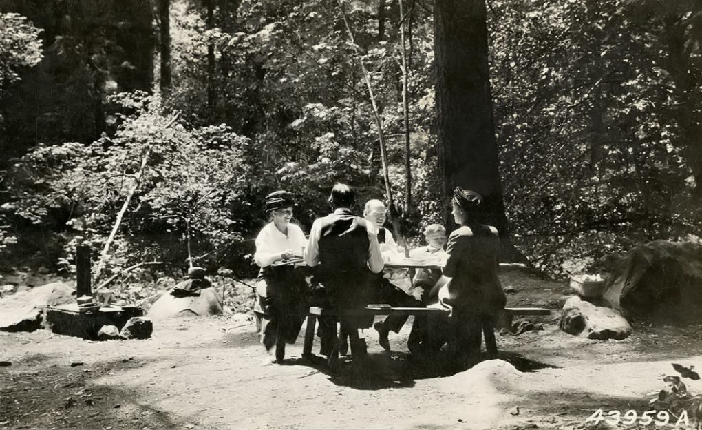 Picnic Table History